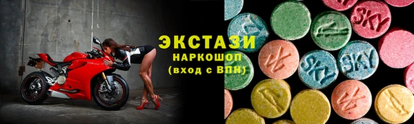 стафф Гусев