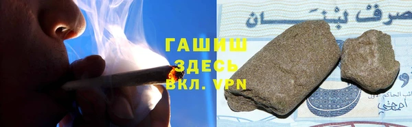 стафф Гусев