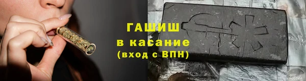 стафф Гусев