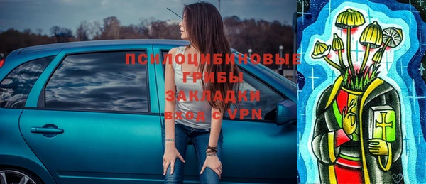 стафф Гусев